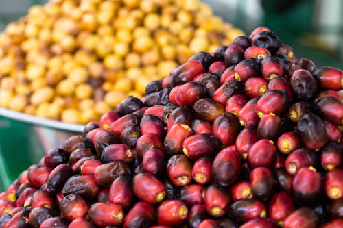 Dates have been one of the most important crops in the Middle East for thousands of years.